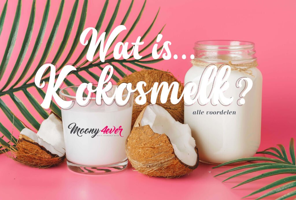 Wat is kokosmelk?